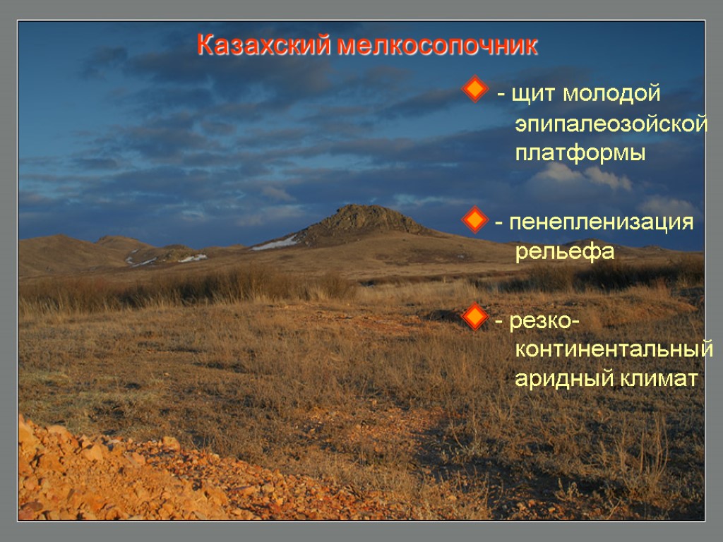 Казахский мелкосопочник - щит молодой эпипалеозойской платформы - пенепленизация рельефа - резко-континентальный аридный климат